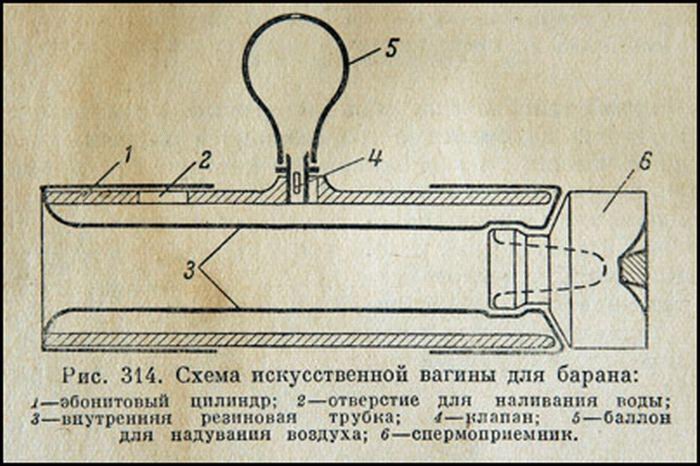 как пользоваться искусственной вагиной видео как пользоваться искусственной вагиной видео