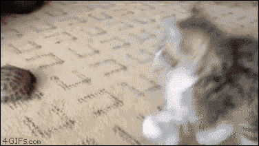 1347882405_gifs_13.gif