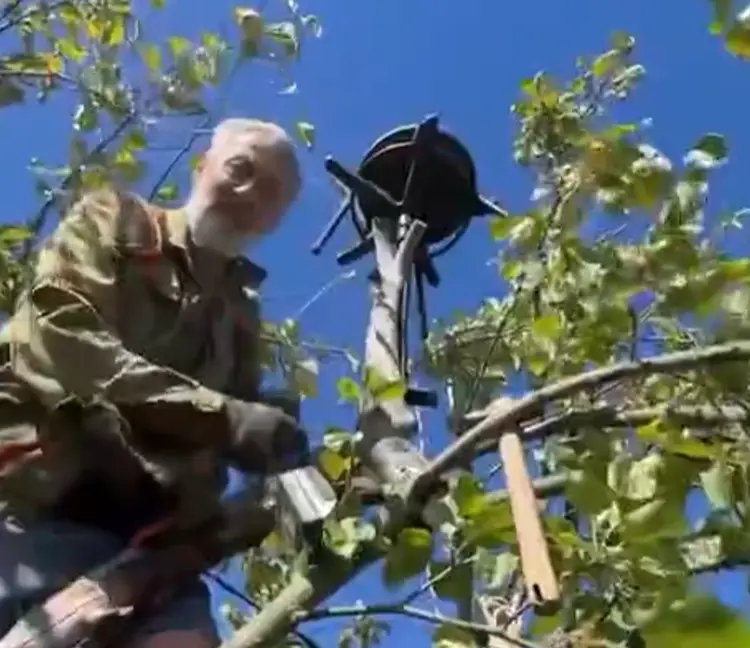 Чем еще заняться в 73 года