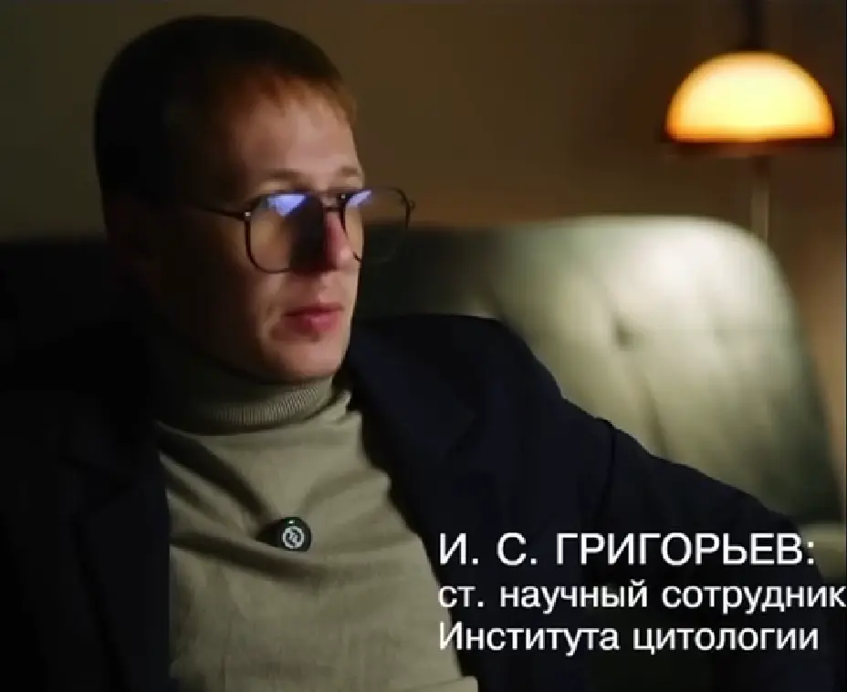 Теория грибного заговора